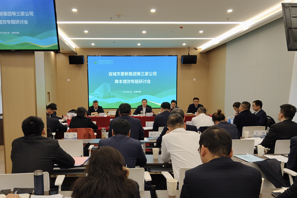 聚力攻坚降成本 深化改革增效益——省城市更新集团等三家公司召开降本增效专题研讨会